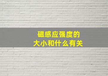 磁感应强度的大小和什么有关