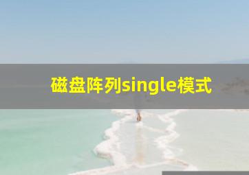 磁盘阵列single模式