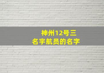 神州12号三名宇航员的名字