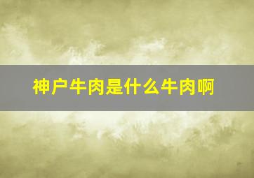 神户牛肉是什么牛肉啊