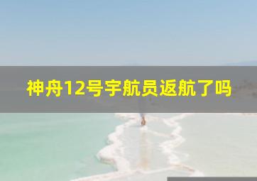 神舟12号宇航员返航了吗