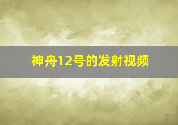 神舟12号的发射视频