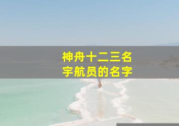 神舟十二三名宇航员的名字