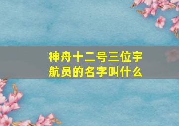 神舟十二号三位宇航员的名字叫什么