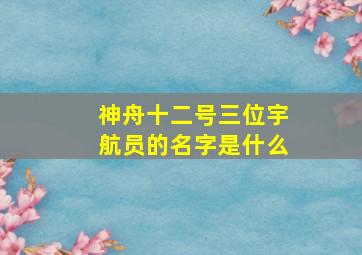 神舟十二号三位宇航员的名字是什么