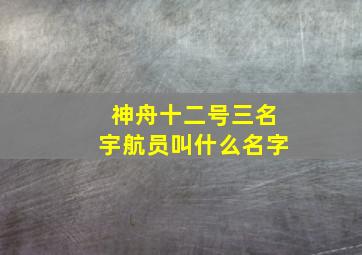 神舟十二号三名宇航员叫什么名字