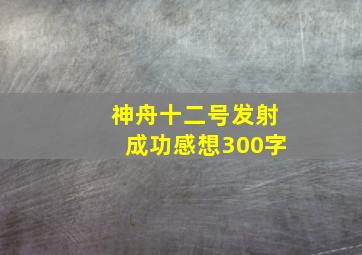 神舟十二号发射成功感想300字