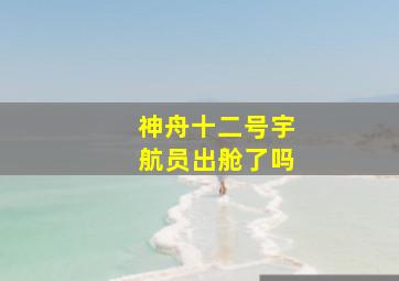 神舟十二号宇航员出舱了吗