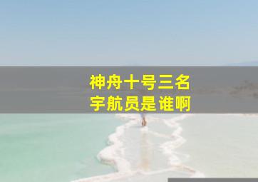 神舟十号三名宇航员是谁啊