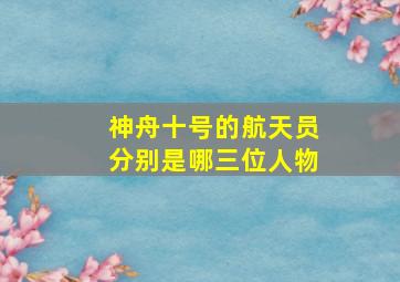 神舟十号的航天员分别是哪三位人物