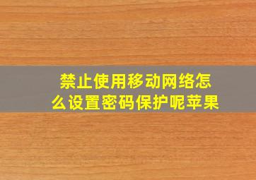 禁止使用移动网络怎么设置密码保护呢苹果