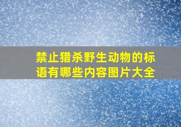 禁止猎杀野生动物的标语有哪些内容图片大全