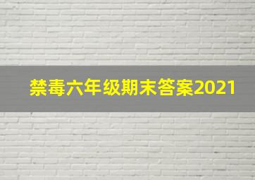 禁毒六年级期末答案2021