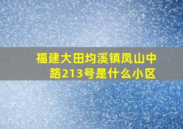 福建大田均溪镇凤山中路213号是什么小区