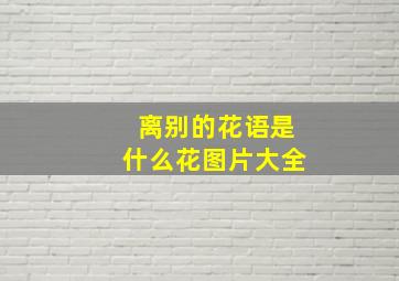 离别的花语是什么花图片大全