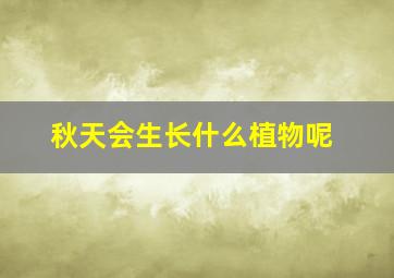 秋天会生长什么植物呢