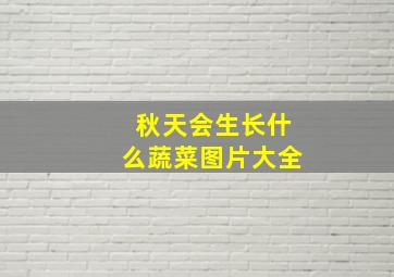 秋天会生长什么蔬菜图片大全