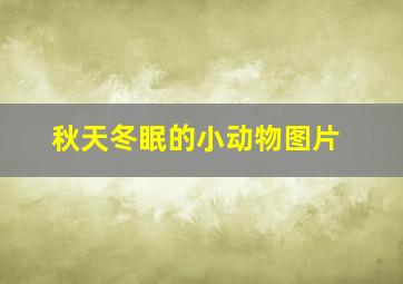 秋天冬眠的小动物图片