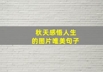 秋天感悟人生的图片唯美句子