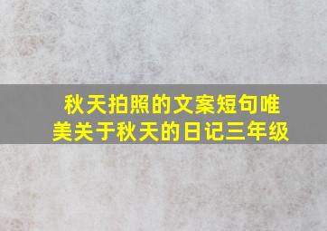 秋天拍照的文案短句唯美关于秋天的日记三年级