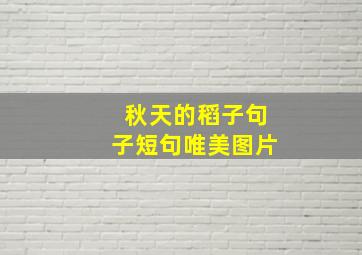 秋天的稻子句子短句唯美图片