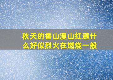 秋天的香山漫山红遍什么好似烈火在燃烧一般