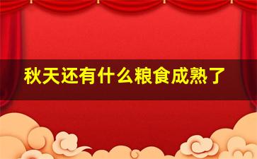 秋天还有什么粮食成熟了