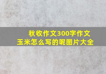 秋收作文300字作文玉米怎么写的呢图片大全