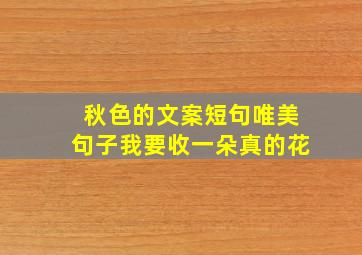 秋色的文案短句唯美句子我要收一朵真的花