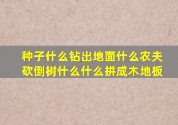 种子什么钻出地面什么农夫砍倒树什么什么拼成木地板