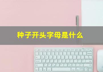 种子开头字母是什么