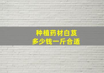 种植药材白芨多少钱一斤合适