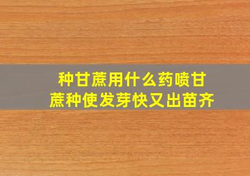 种甘蔗用什么药喷甘蔗种使发芽快又出苗齐