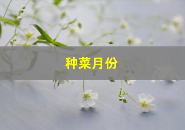 种菜月份