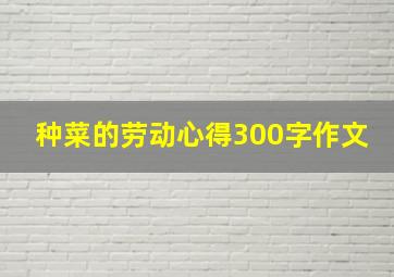 种菜的劳动心得300字作文