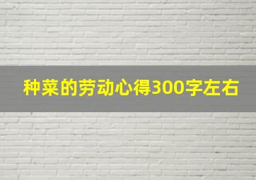 种菜的劳动心得300字左右