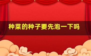 种菜的种子要先泡一下吗