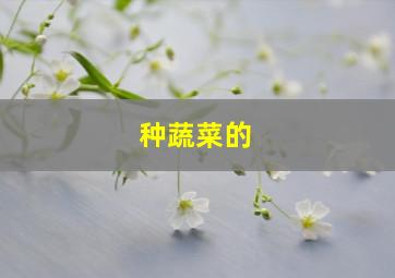 种蔬菜的