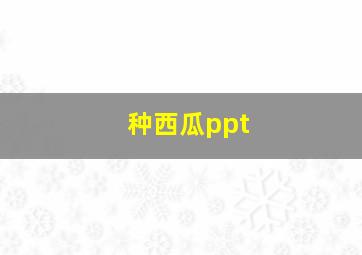 种西瓜ppt