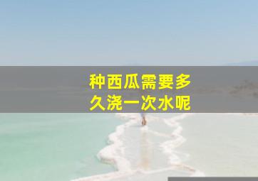 种西瓜需要多久浇一次水呢