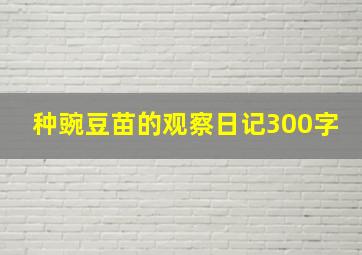 种豌豆苗的观察日记300字