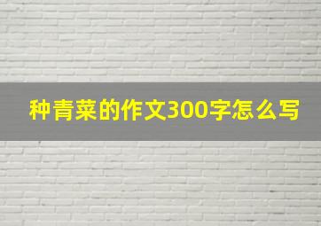 种青菜的作文300字怎么写