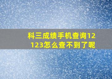 科三成绩手机查询12123怎么查不到了呢