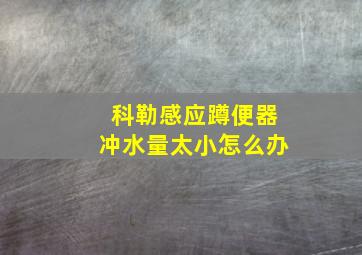 科勒感应蹲便器冲水量太小怎么办