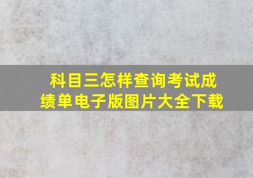 科目三怎样查询考试成绩单电子版图片大全下载