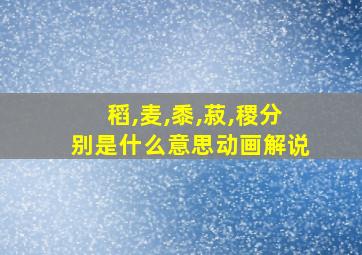 稻,麦,黍,菽,稷分别是什么意思动画解说