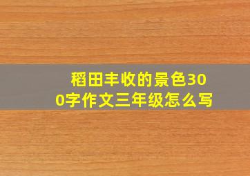 稻田丰收的景色300字作文三年级怎么写