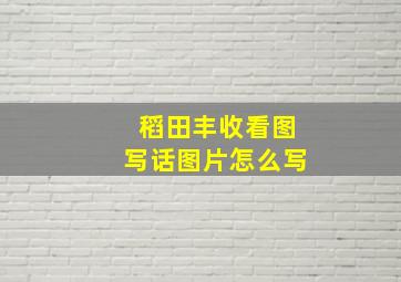 稻田丰收看图写话图片怎么写