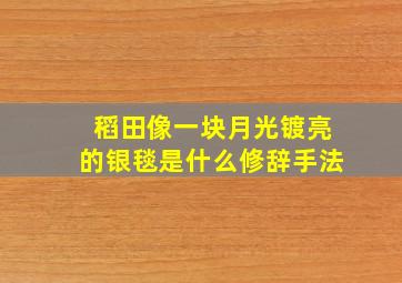 稻田像一块月光镀亮的银毯是什么修辞手法