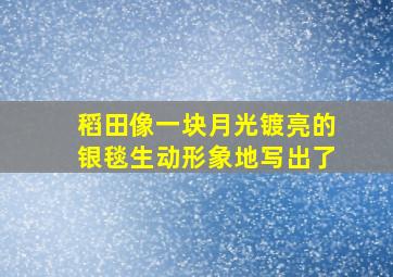 稻田像一块月光镀亮的银毯生动形象地写出了